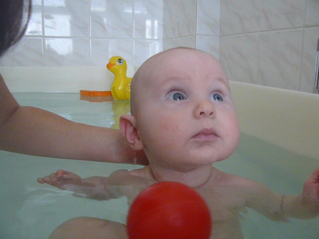 P1020437.JPG
